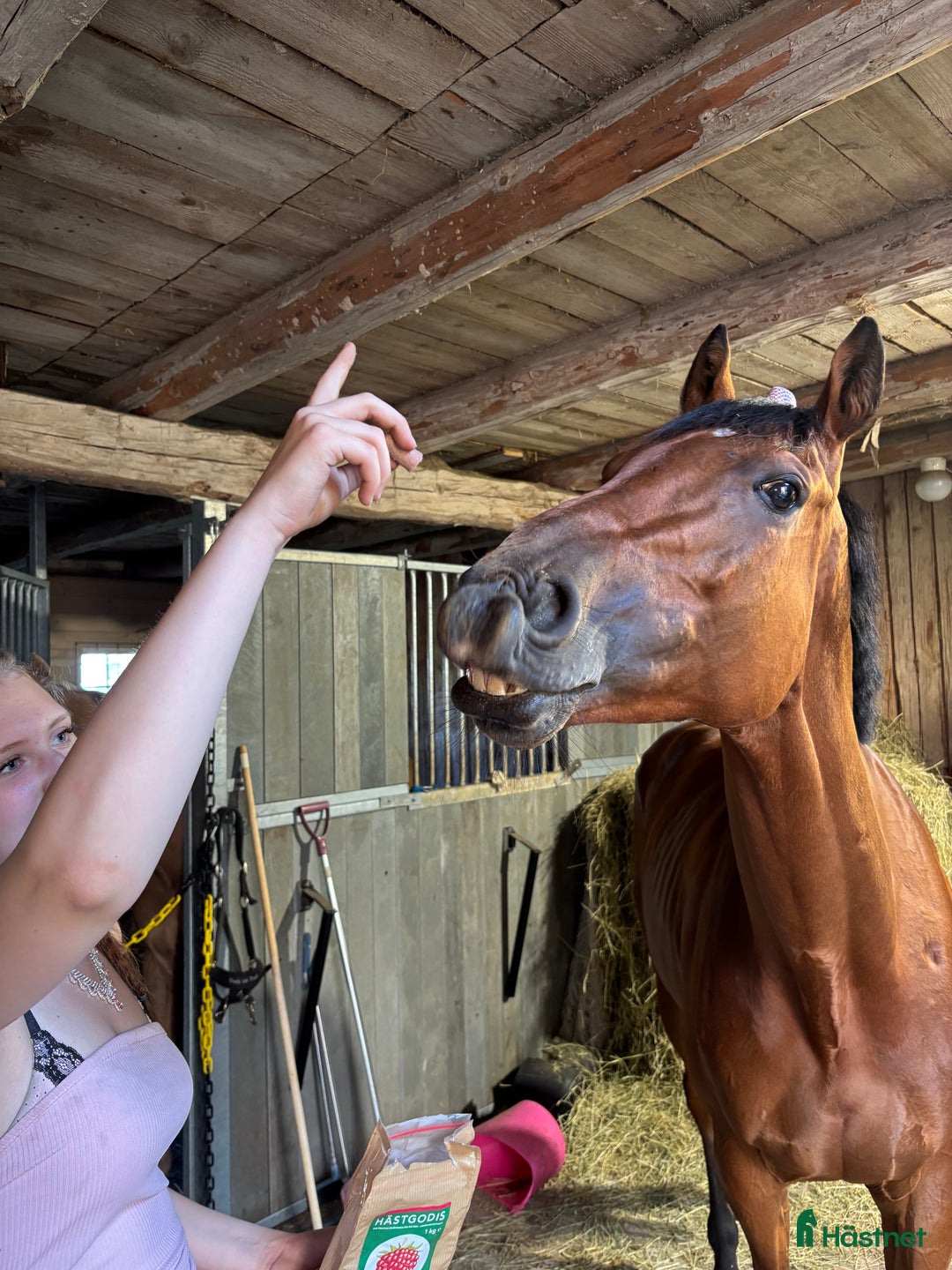 Galleribild {{count}}