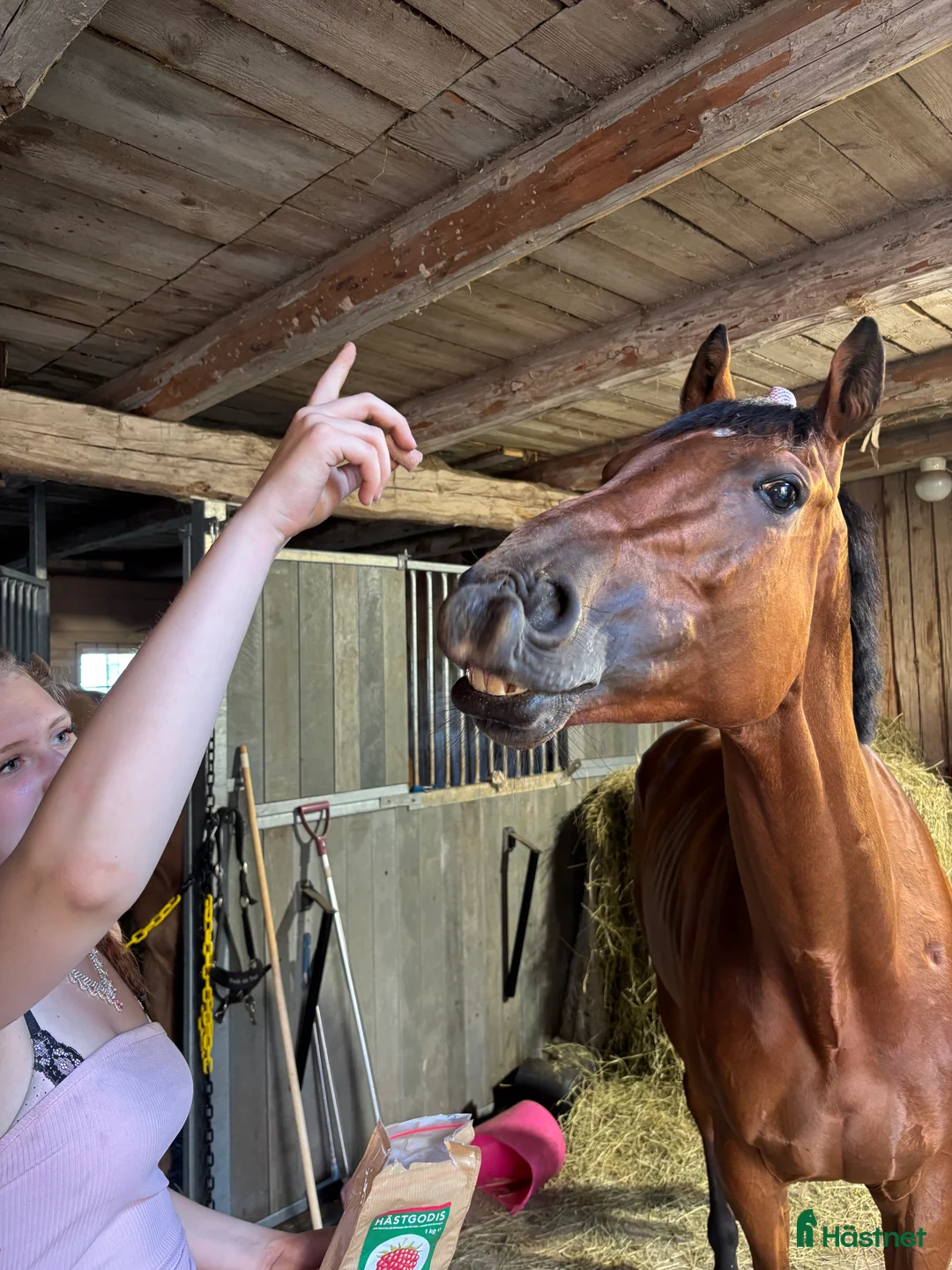 Galleribild {{count}}