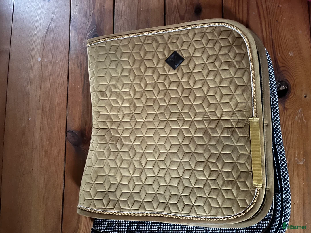 Schabrak & Vojlockar hästutrustning till salu: Sammet kentycky dressyr schabrak senapsgul  - Annons 1