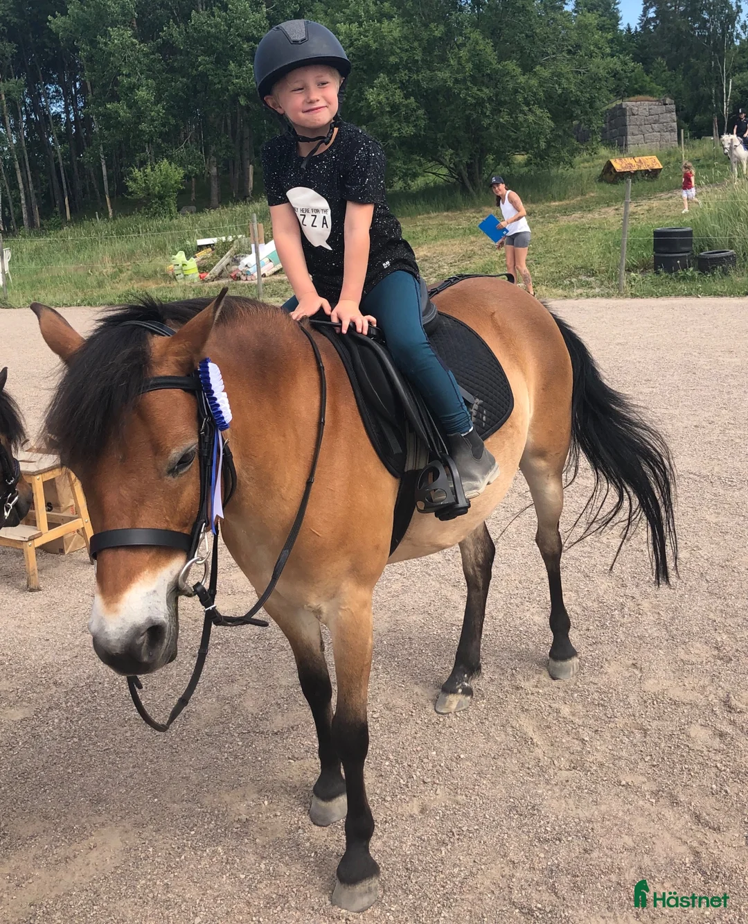 Allround hästar till salu: Vår älskade Hannah söker nytt hem i Motala - Annons 2