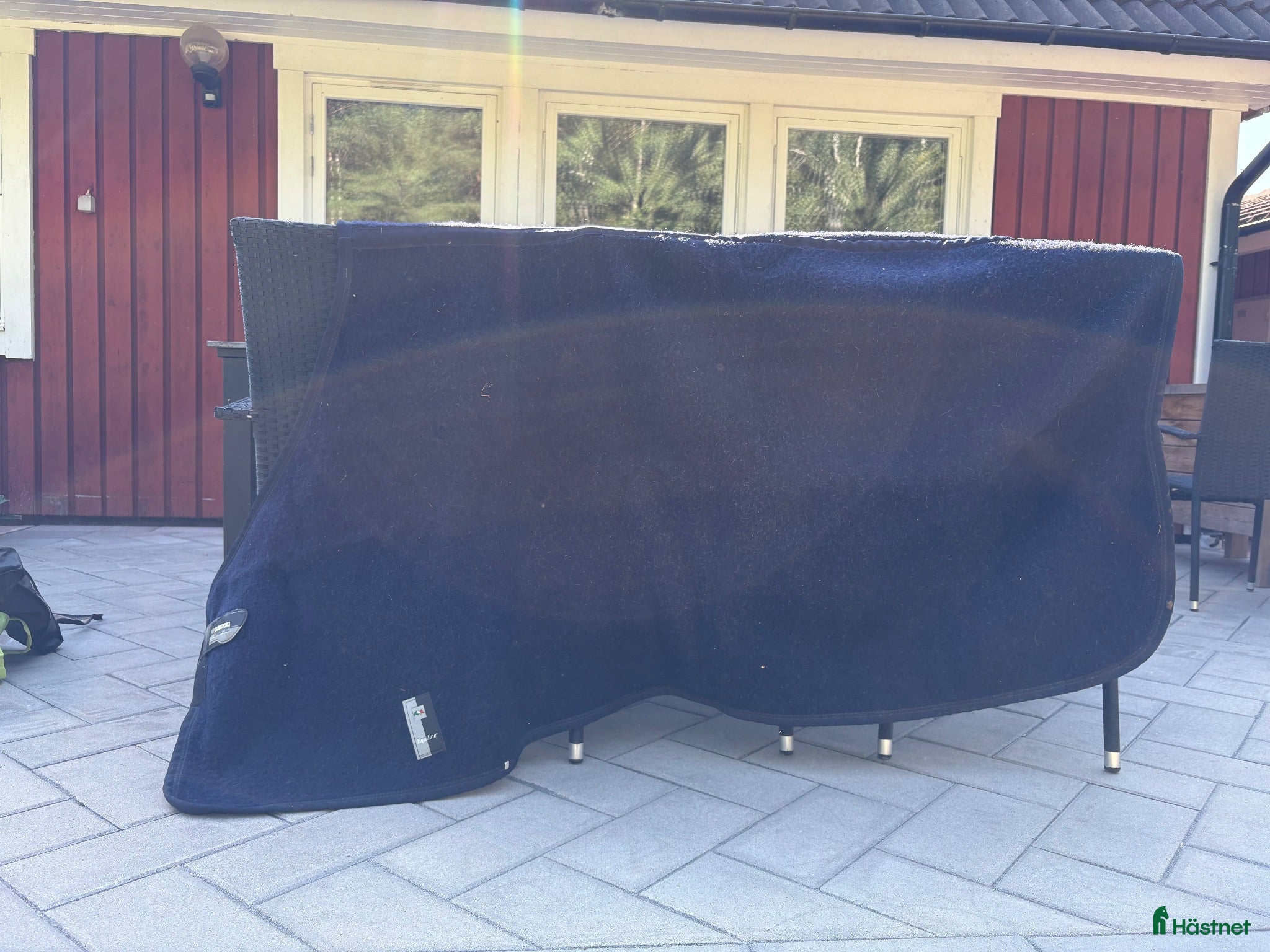 Täcken hästutrustning Ulltäcke Equiline  - Annons 7