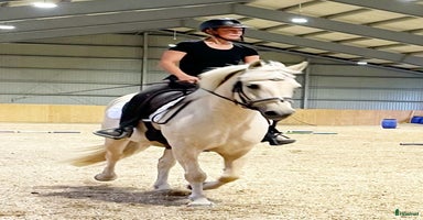  stallplats i Nykvarn - Annons 9