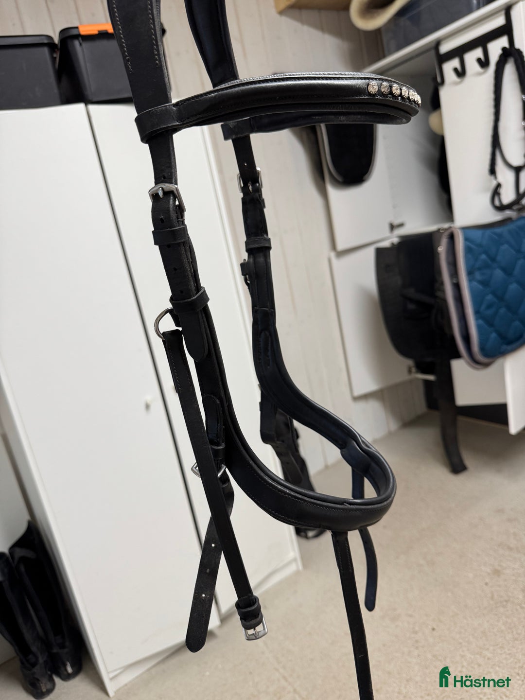 Övrig Hästutrustning hästutrustning till salu: Rensning av hästutrustning  - Annons 6