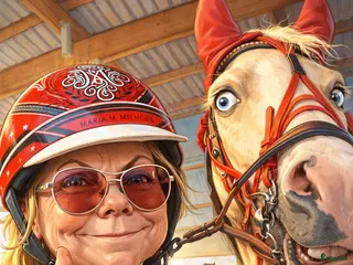 hästar Kallblodstravare sökes - Annons 1