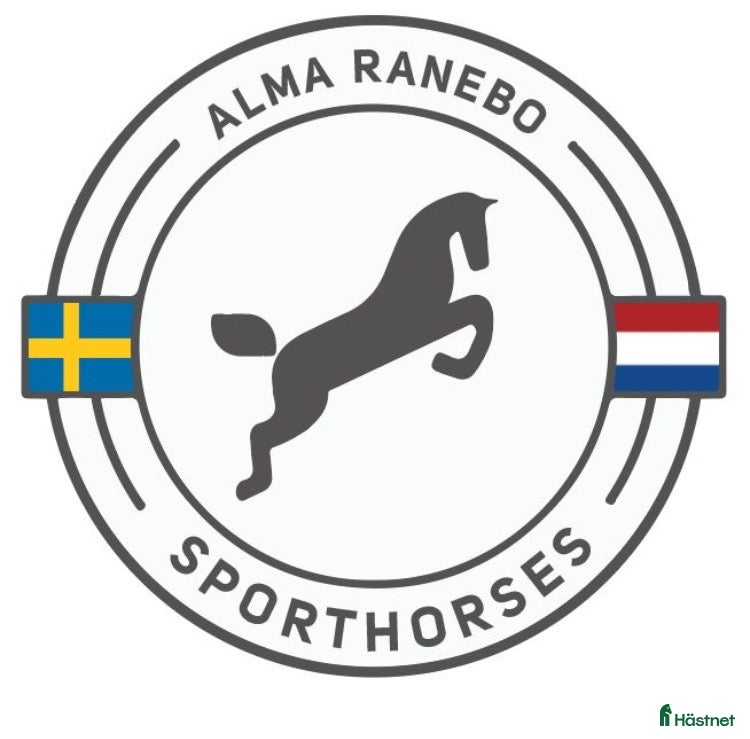  hästjobb Praktikplats finnes i Bjärred - Annons 19