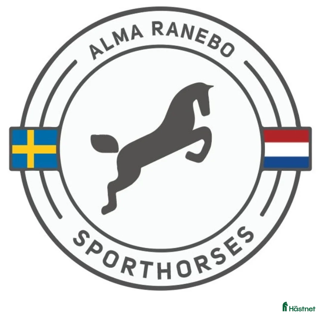  hästjobb finnes: Praktikplats finnes i Bjärred - Annons 1