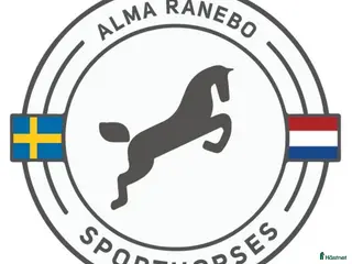 hästjobb Praktikplats finnes i Bjärred - Annons 19