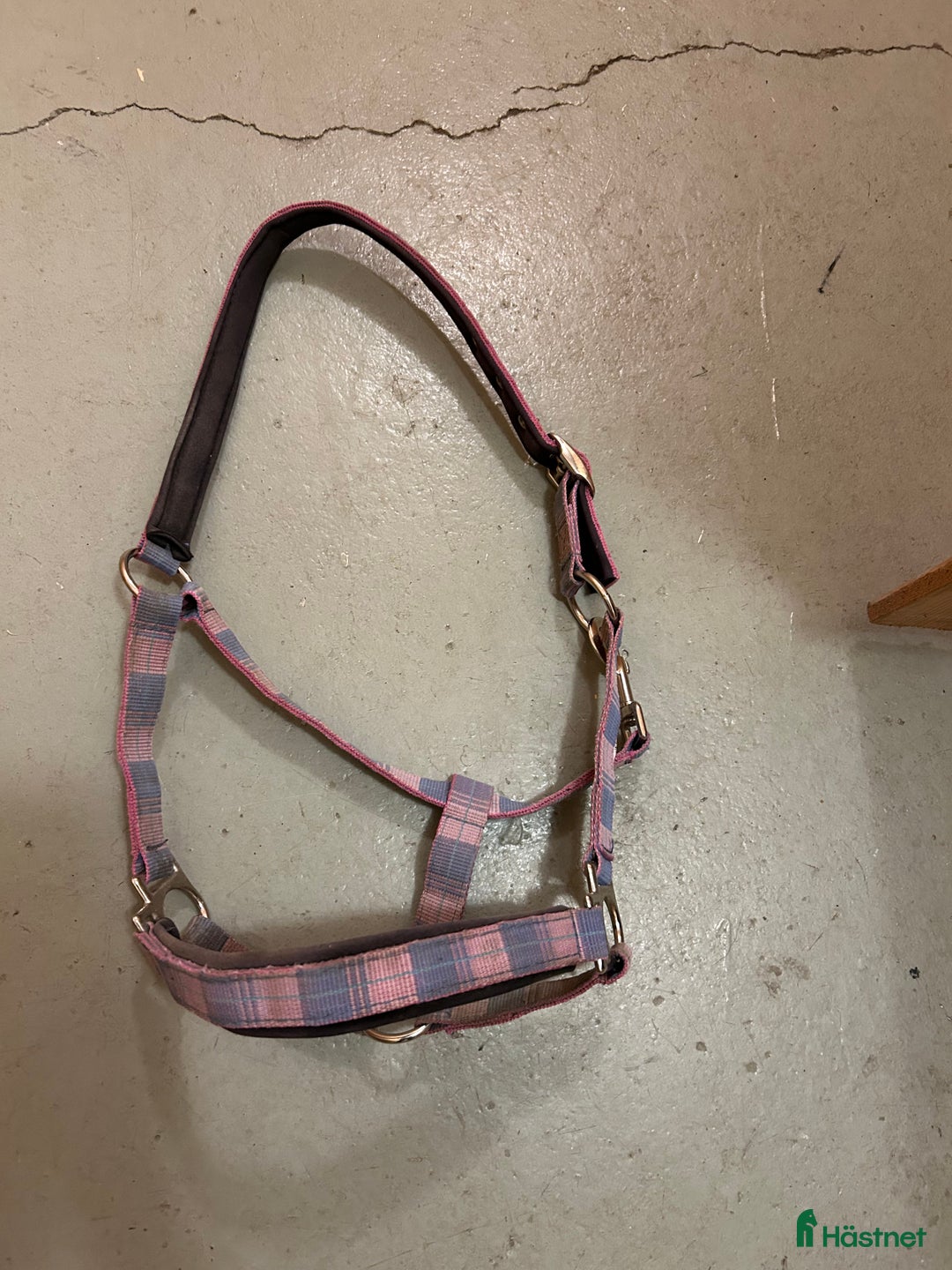 Övrig Hästutrustning hästutrustning till salu: Grimmor  i Smedjebacken - Annons 2