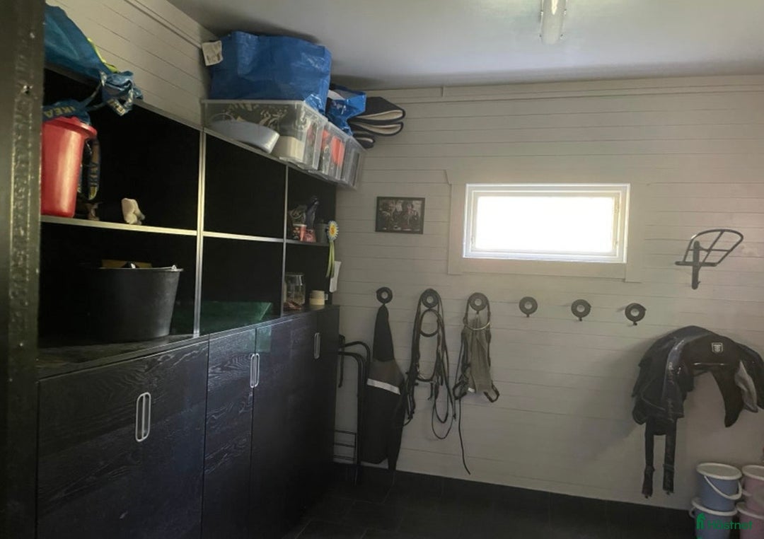  stallplats finnes: Två boxplatser på stall Rydbolund i Tollarp - Annons 3