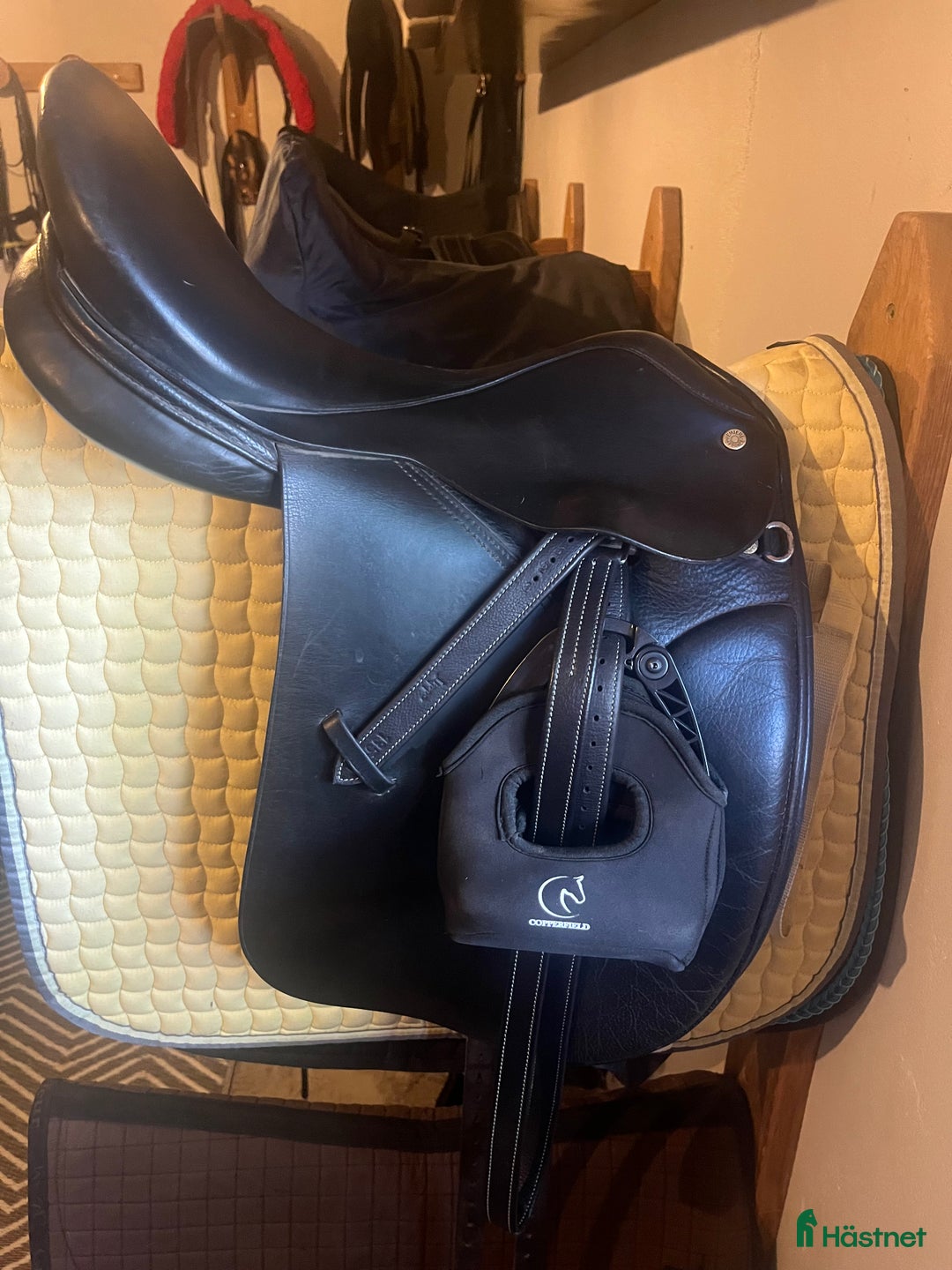 Sadlar hästutrustning till salu: Premiere dressyrsadel i Ljungby - Annons 2