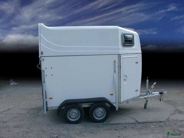 Hästtransporter  fordon & transport till salu: CHRIST CORTEZ - Annons 18