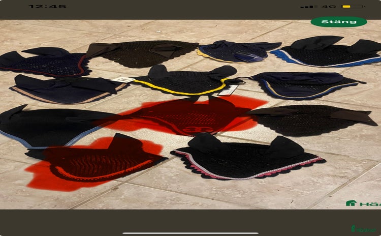 Schabrak & Vojlockar hästutrustning till salu i Hörby - Annons 3