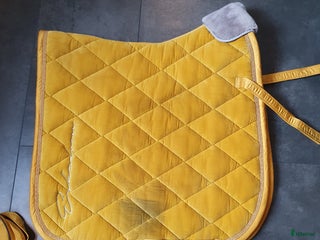 Schabrak & Vojlockar hästutrustning till salu: Eskadron dressyrschabrak inkl lindor Full i Tranås - Annons 14