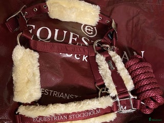 Övrig Hästutrustning hästutrustning till salu: Oanvänd Equestrian Stockholm Grimma i Brottby - Annons 20