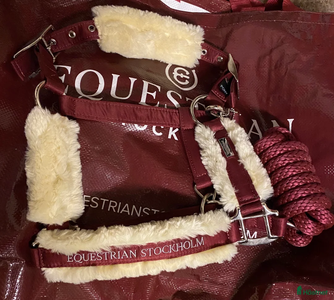 Övrig Hästutrustning hästutrustning till salu: Oanvänd Equestrian Stockholm Grimma - Annons 1