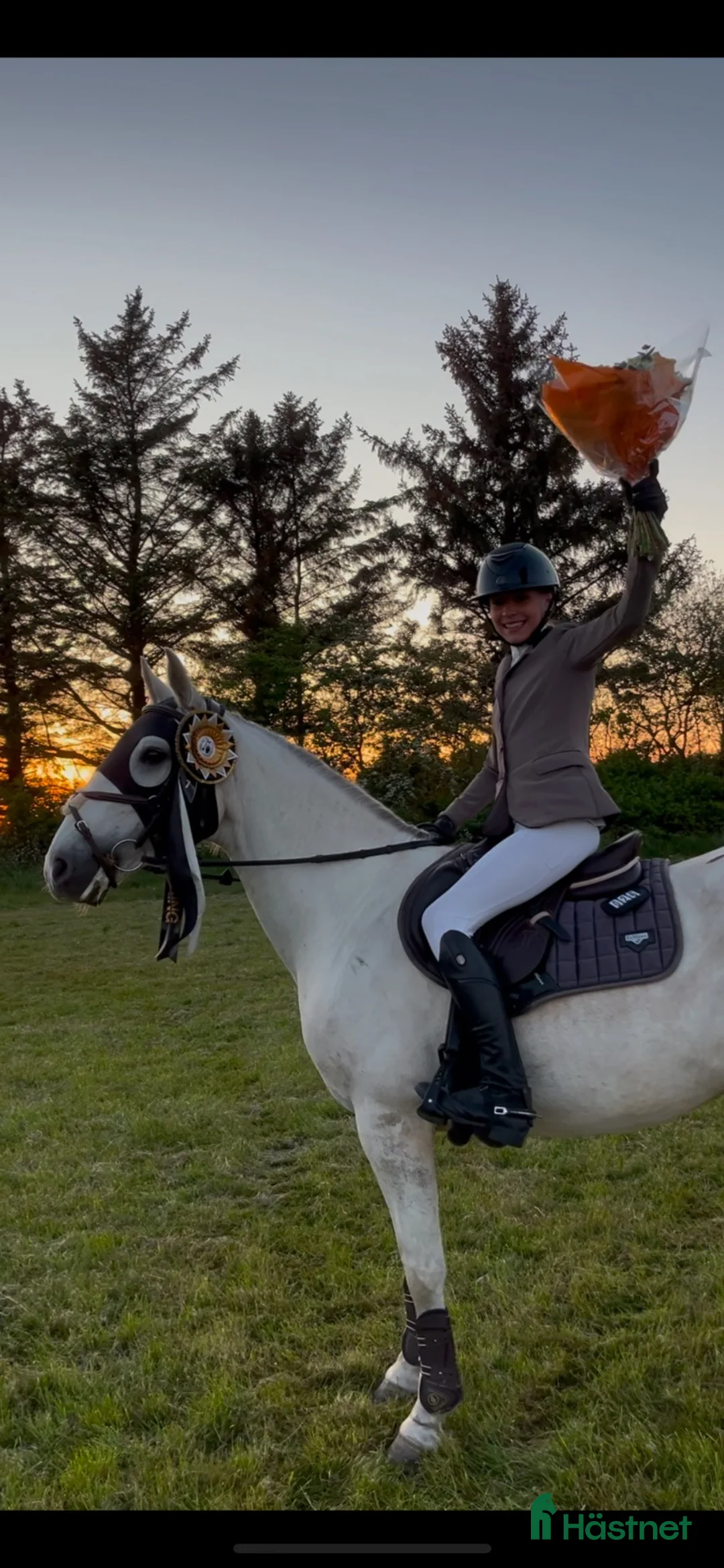 Hoppning hästar till salu: Springpony med kapacitet - Annons 12