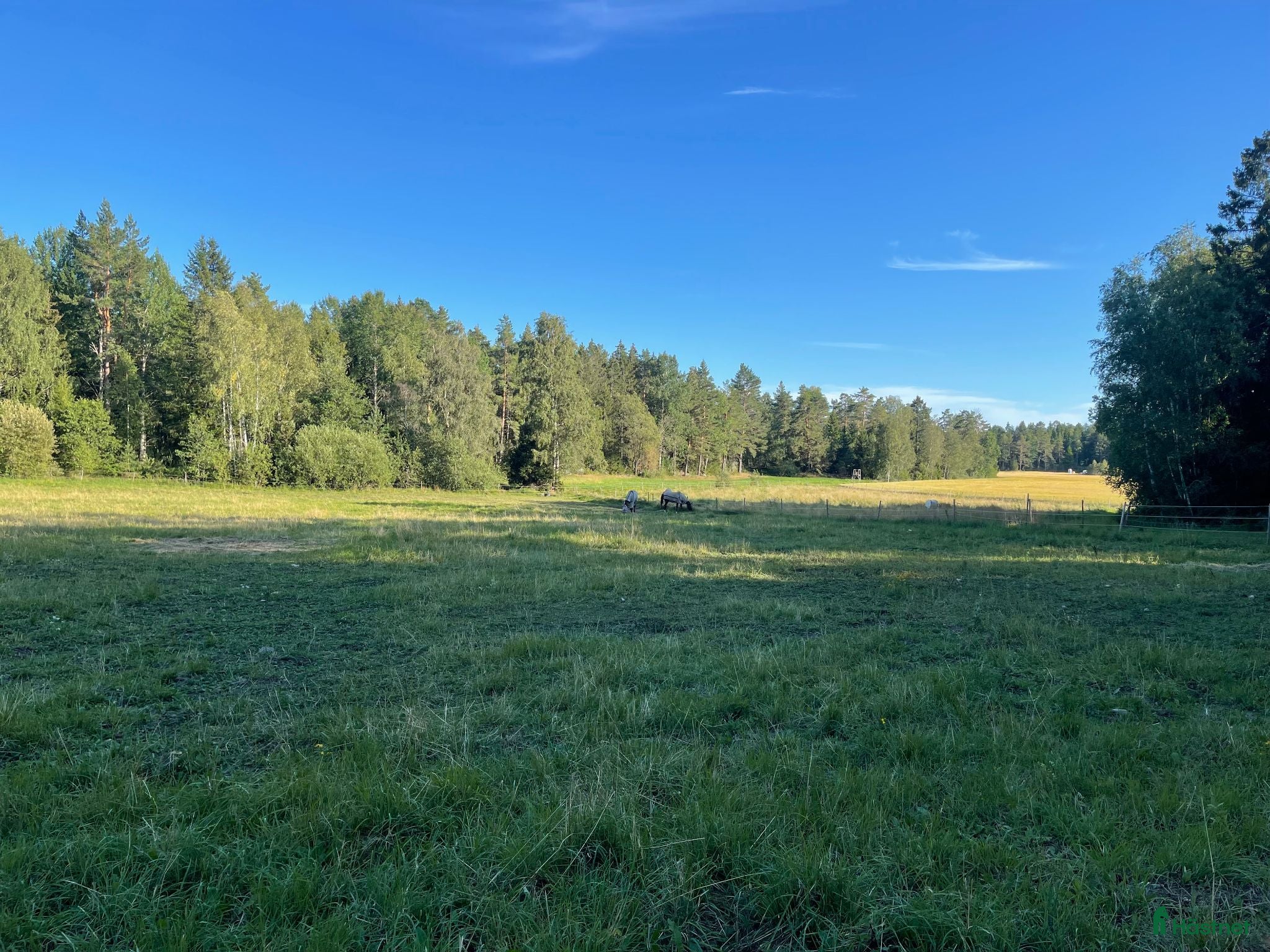  stallplats Egen stalldel uthyres förmånligt - Annons 2