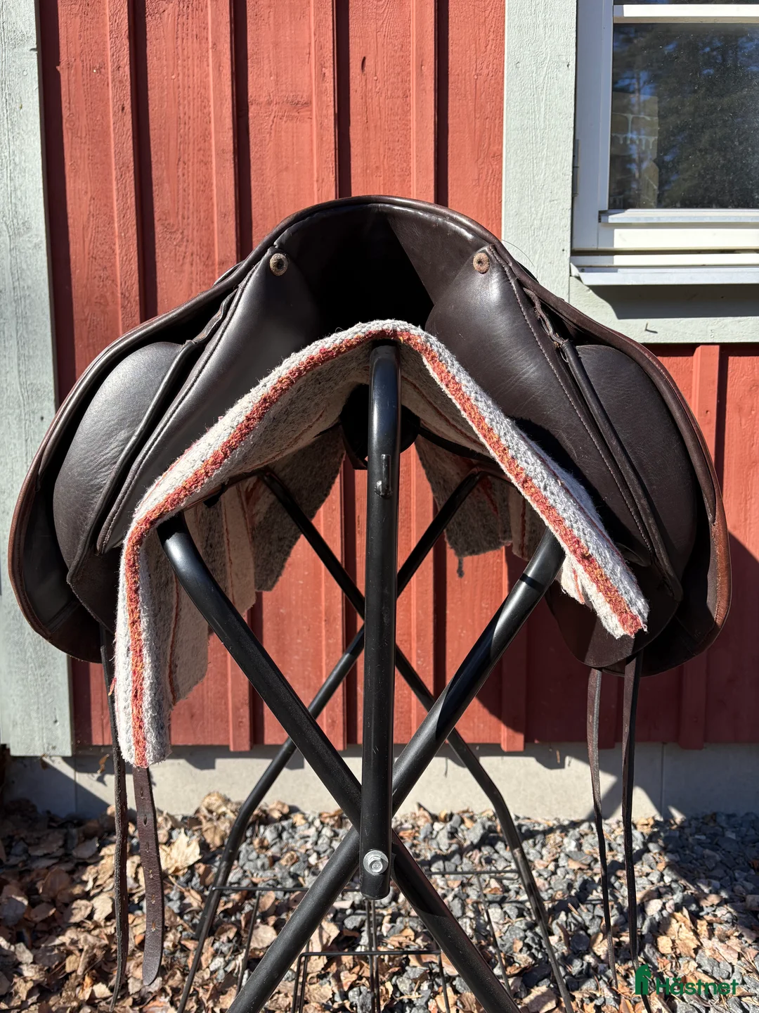 Sadlar hästutrustning till salu: Globus Crincle i Vallentuna - Annons 4
