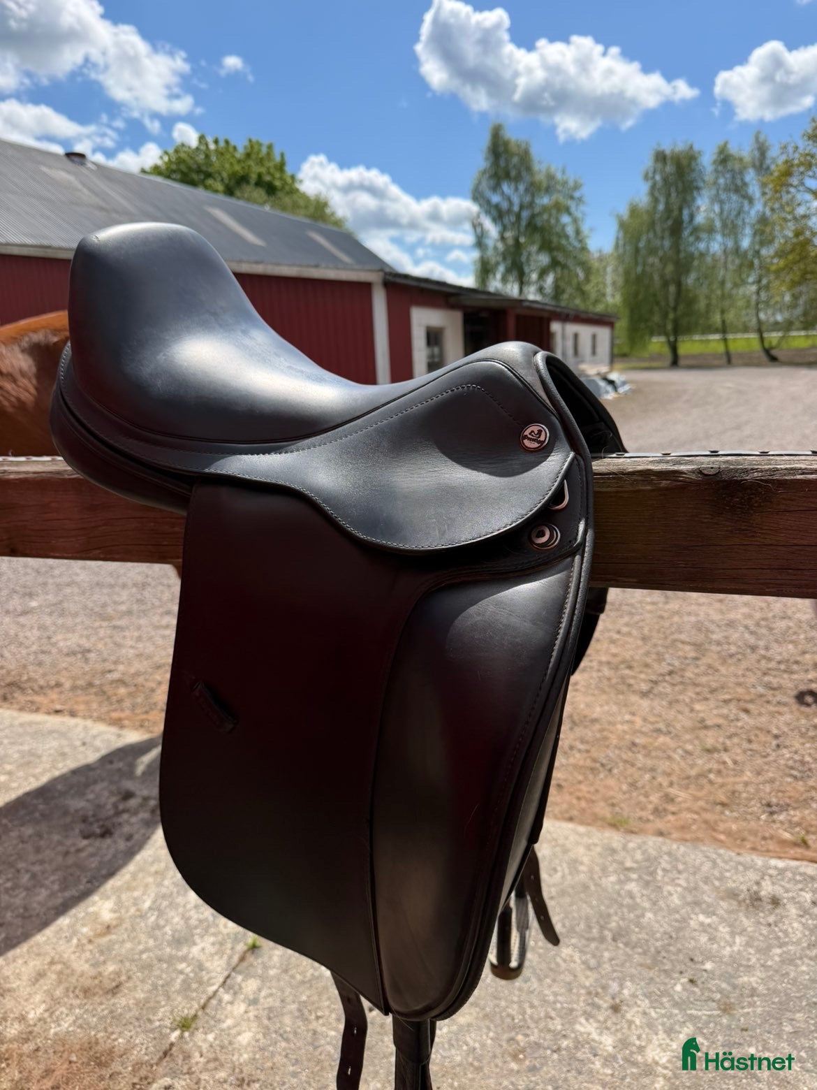 Sadlar hästutrustning Prestige D1X - Annons 8