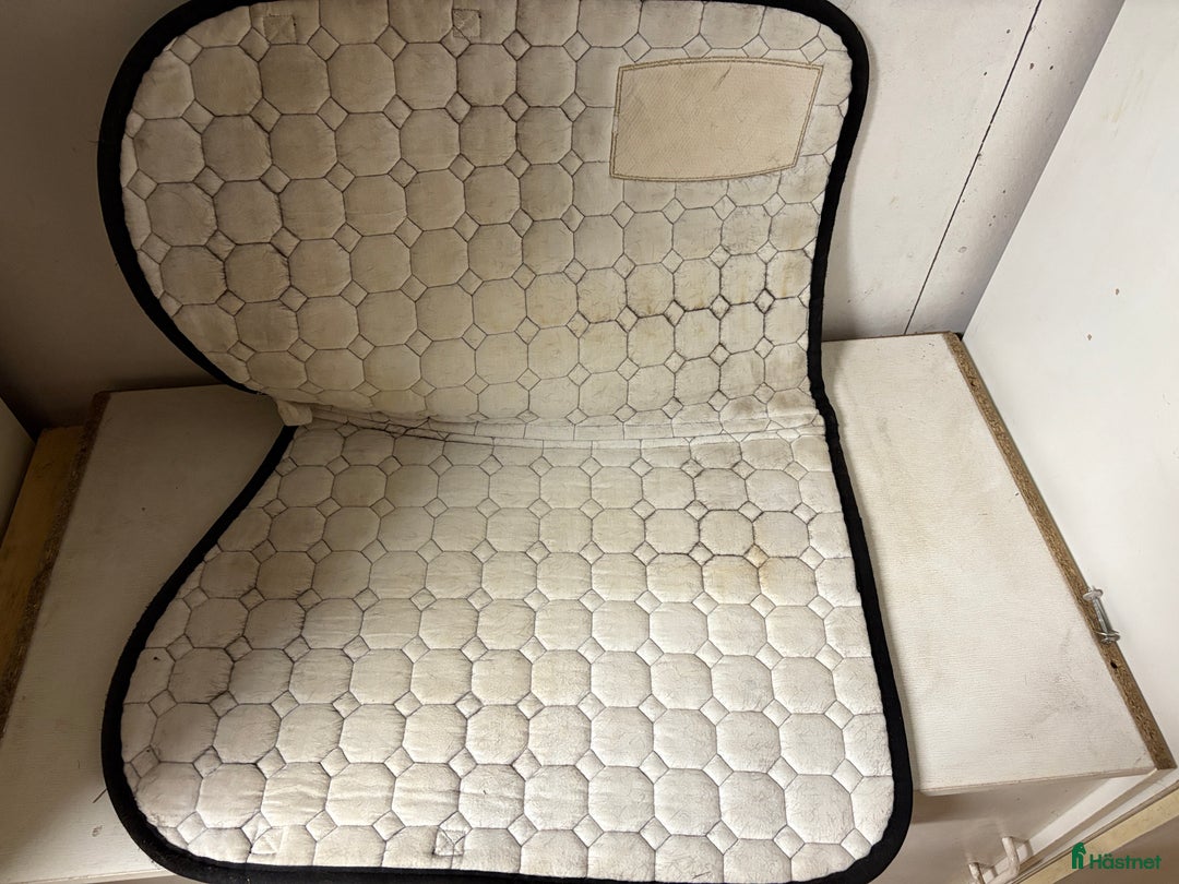 Schabrak & Vojlockar hästutrustning till salu: ‼️BYTER‼️ men kan tänka mig sälja i Stockholm - Annons 3