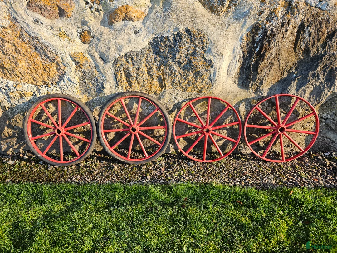 Körvagnar körning till salu: Annorlunda ponnyvagn i Trelleborg - Annons 5