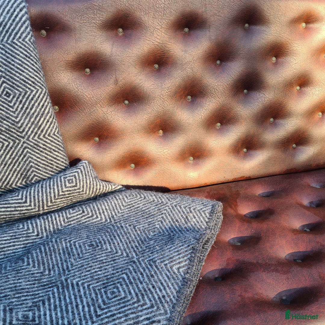 Körsulkys körning till salu: Vagn för stor häst i Malmbäck - Annons 5