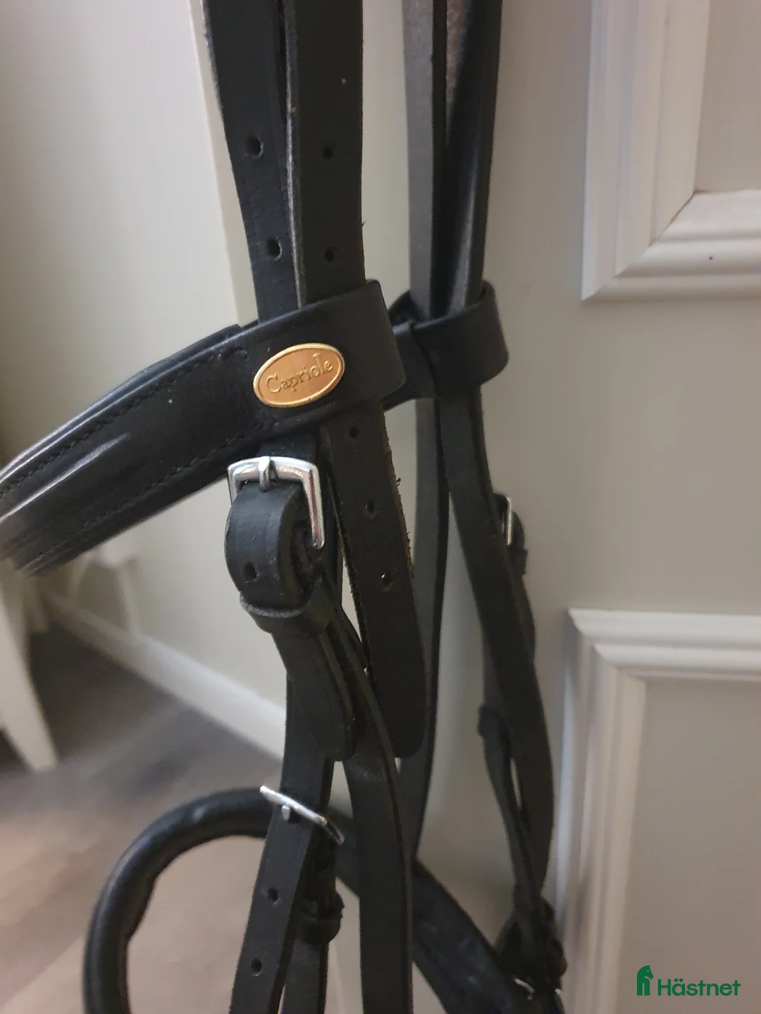 Träns hästutrustning till salu: Svart träns av märket capriole  - Annons 2