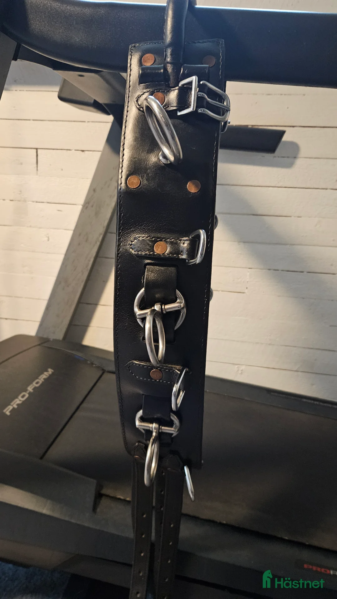 Övrig Hästutrustning hästutrustning till salu: Globus tömkörningsgjord - Annons 3