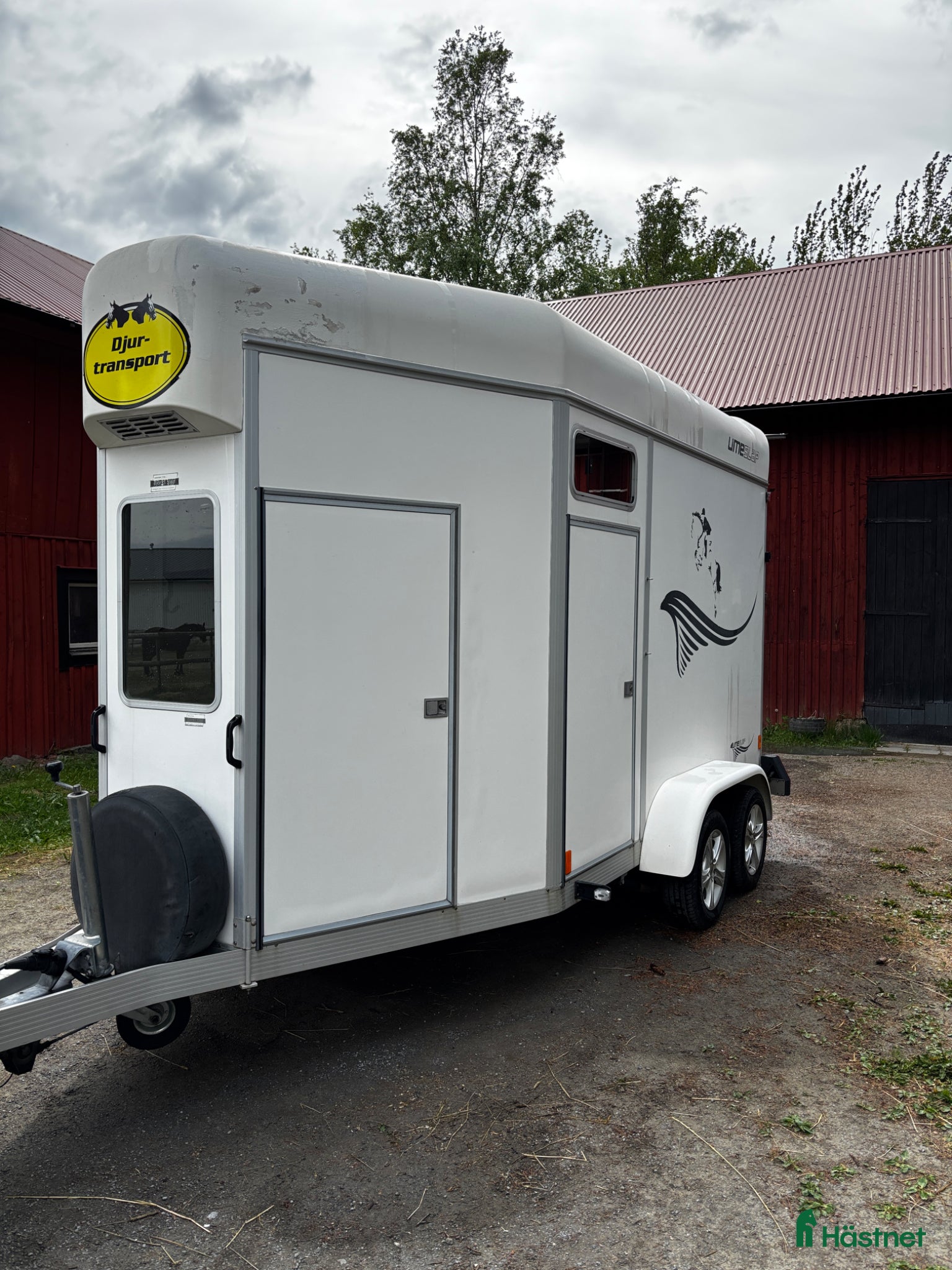 Hästtransporter  fordon & transport till salu: Ume B60 2007 - Annons 1