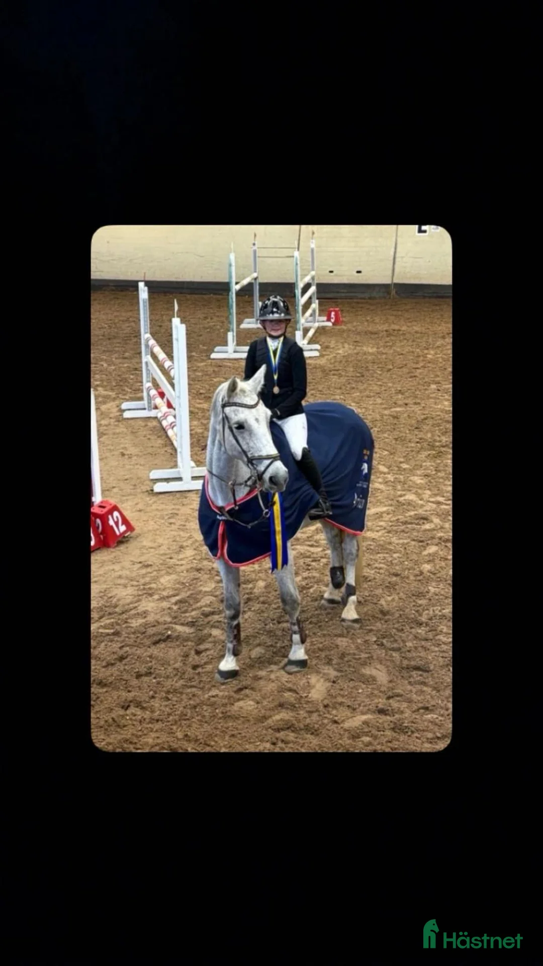 Allround hästar till salu: Lyxig mamma/dotter häst  - Annons 2