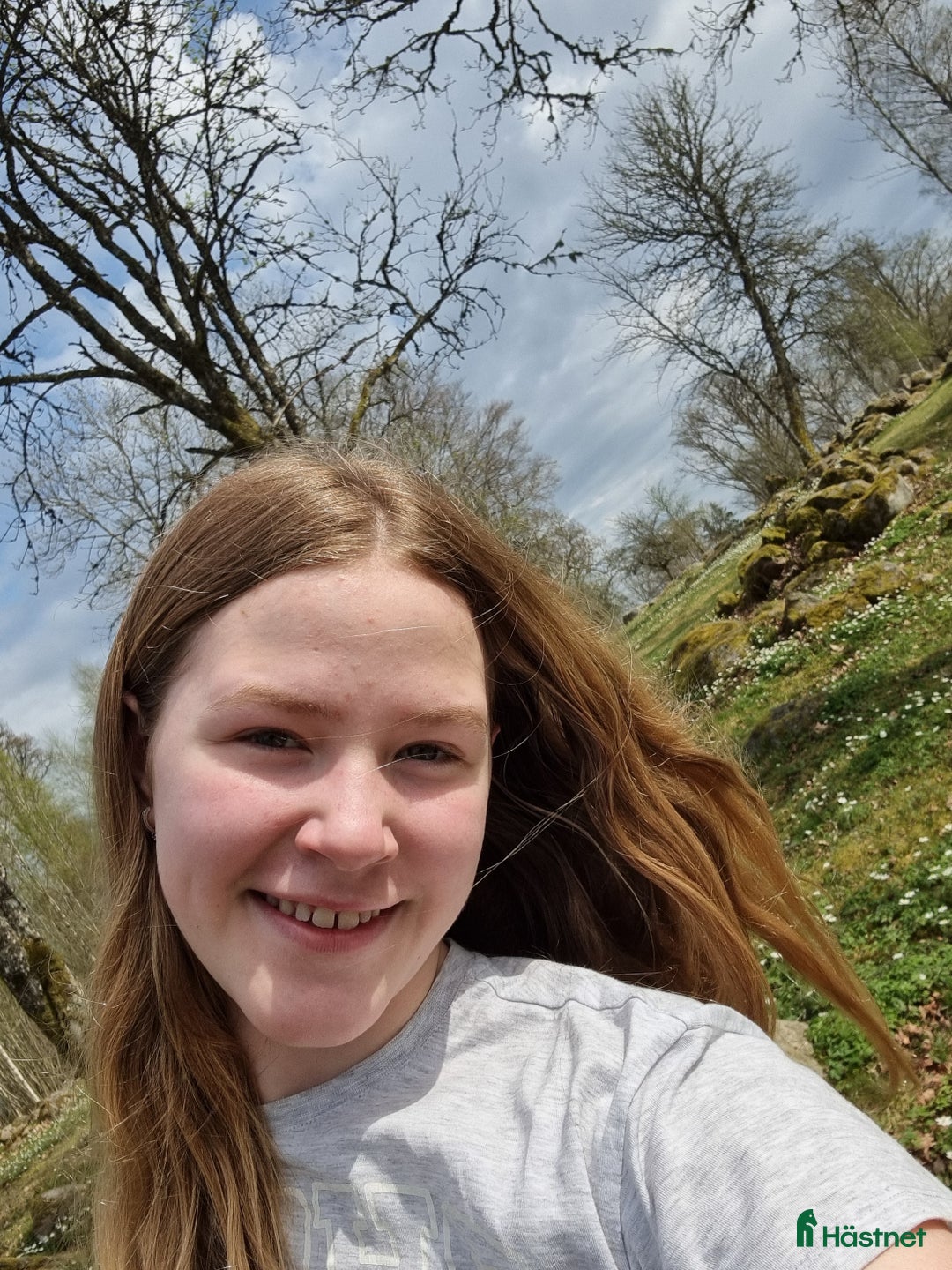  medryttarhäst sökes: Söker Medryttarhäst - Annons 2