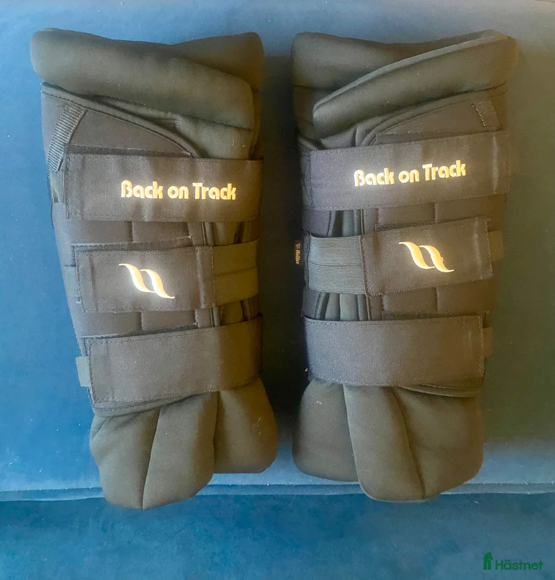 Benskydd hästutrustning till salu: Back on track hasskydd - Annons 2