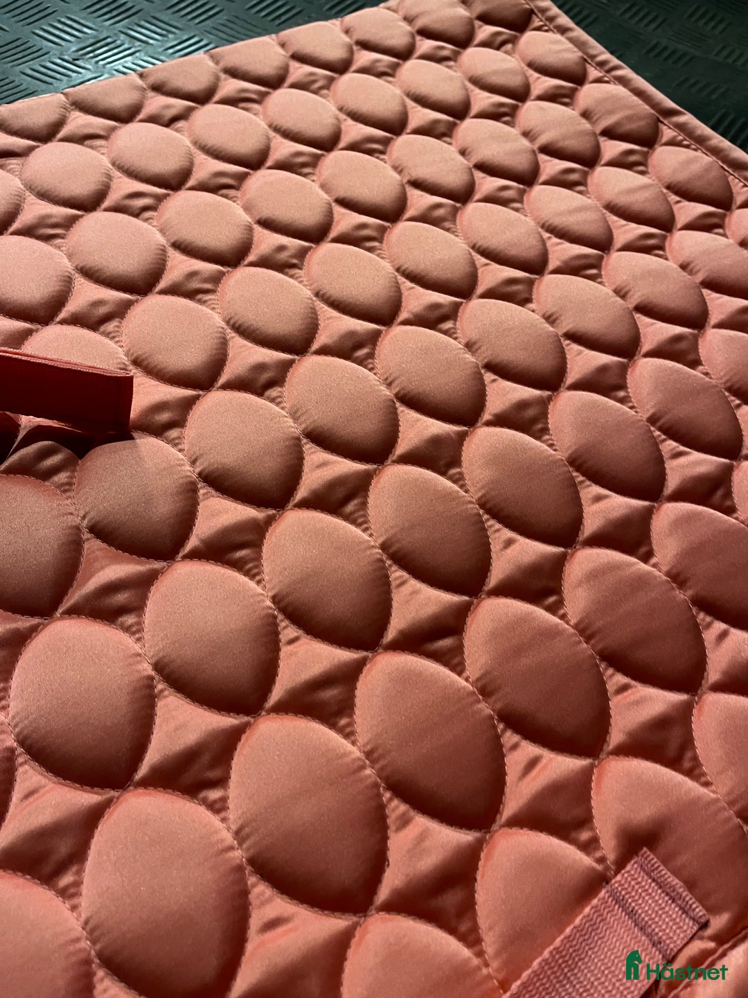 Schabrak & Vojlockar hästutrustning till salu: Schabrak  i Alsterbro - Annons 4