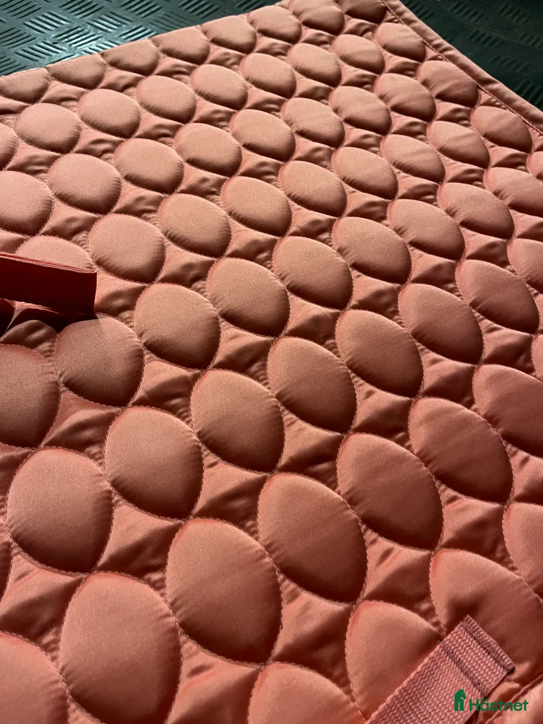 Schabrak & Vojlockar hästutrustning till salu: Schabrak  i Alsterbro - Annons 4