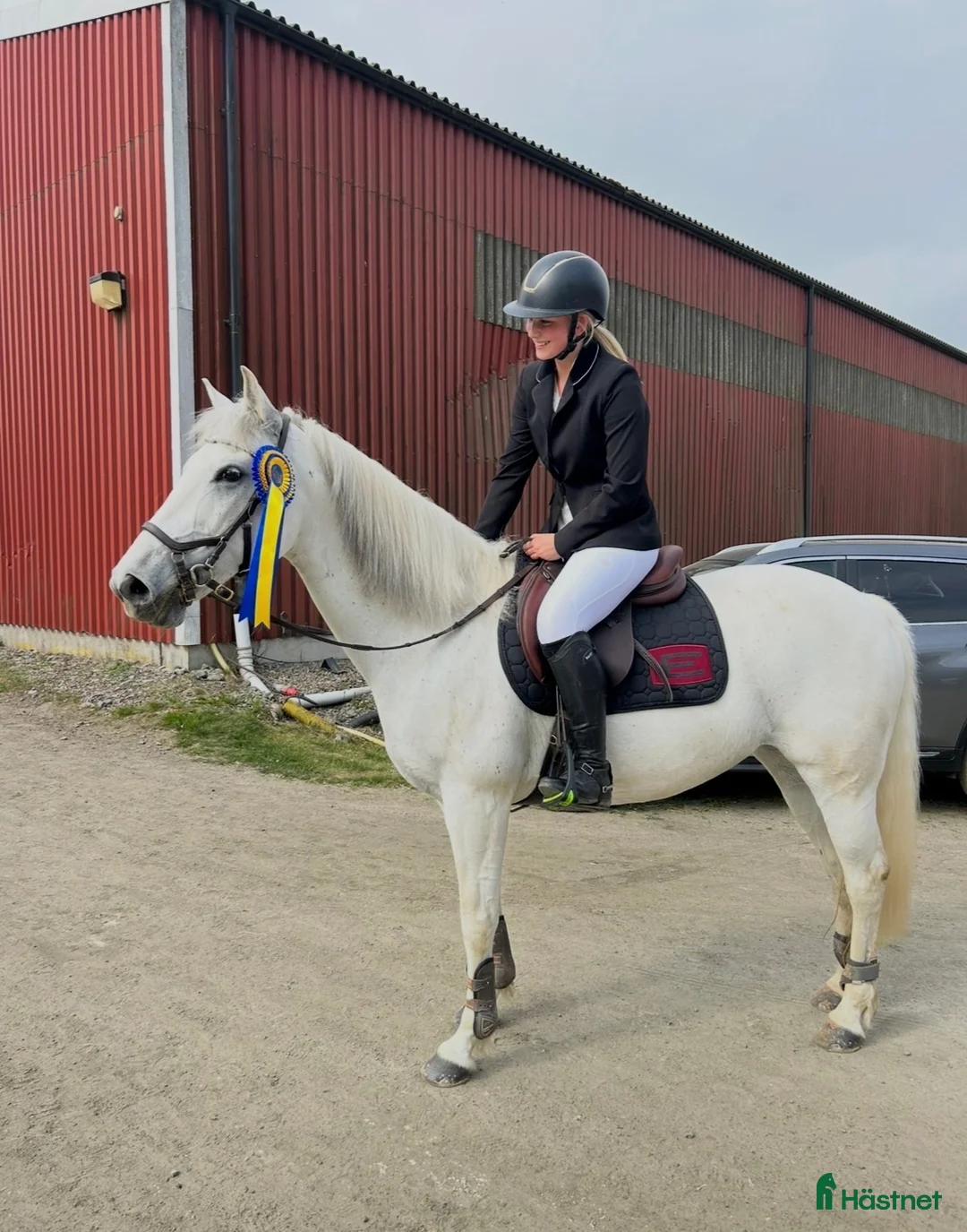 Allround hästar till salu: ⭐️Ponny med hjärta av guld⭐️ - Annons 1