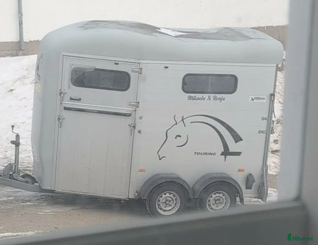 Hästtransporter  fordon & transport till salu: Gör en chansning i Ulricehamn - Annons 1