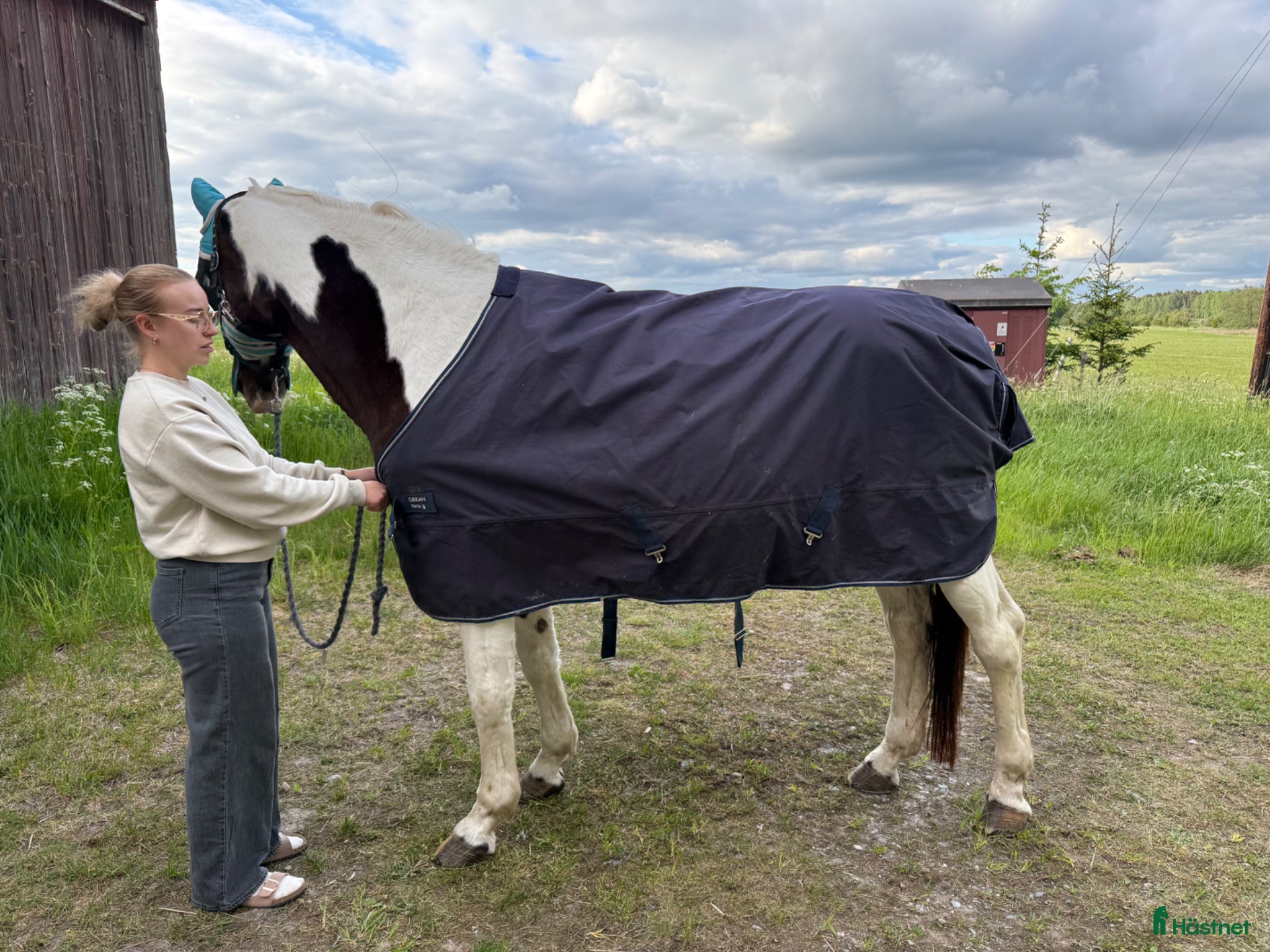 Täcken hästutrustning till salu: Blandade täcken 135 (6st) - Annons 12