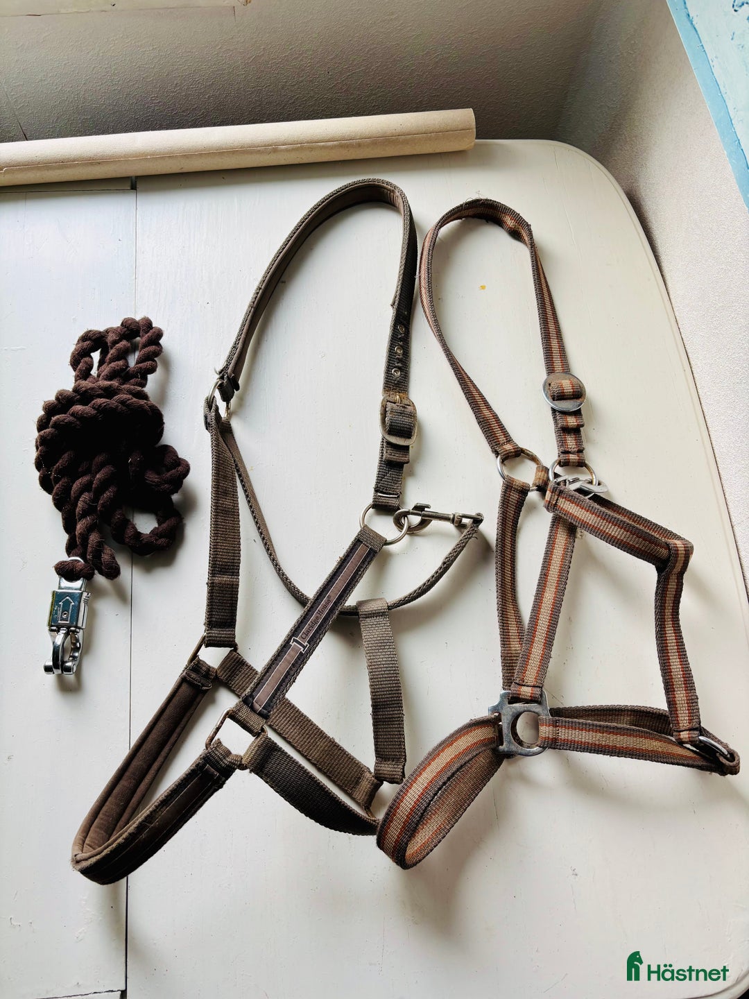 Övrig Hästutrustning hästutrustning till salu: 2 stycken grimmor samt 1 stycken grimskaft  i Fliseryd - Annons 2