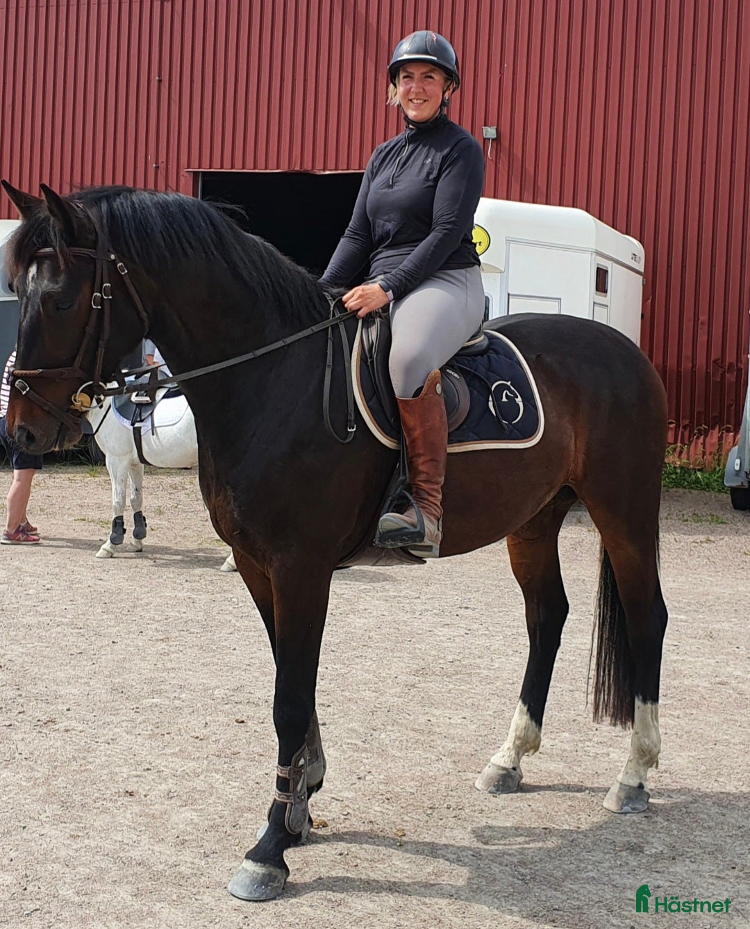  hästar Fantastisk Snygg & Trygg SWB, Tanthäst/Mor dotter  i Sandviken - Annons 7