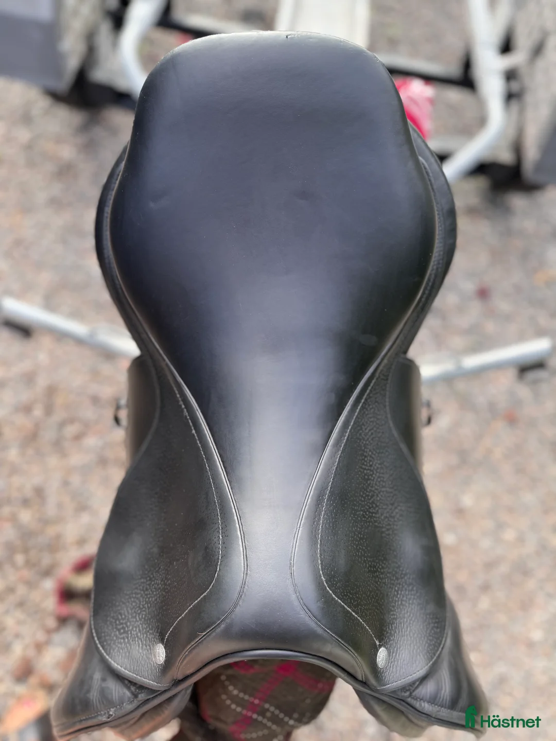 Sadlar hästutrustning till salu: CWD SE03 17 2L - Annons 2