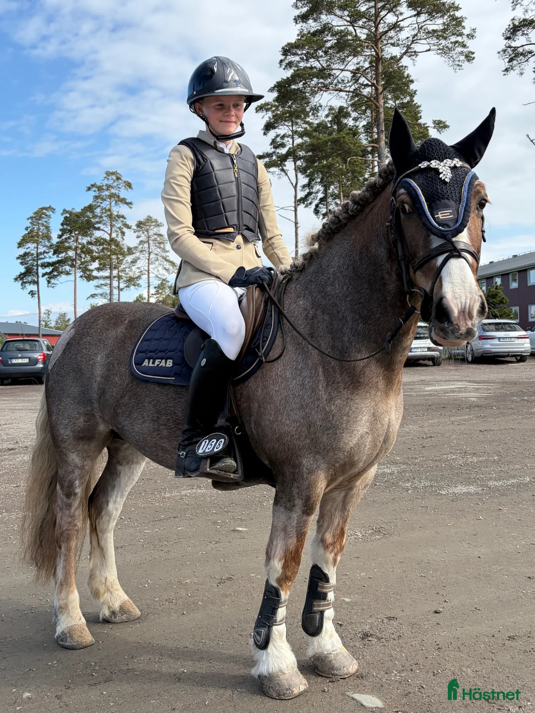 Hoppning hästar till salu: Perfekt första ponny - Annons 1