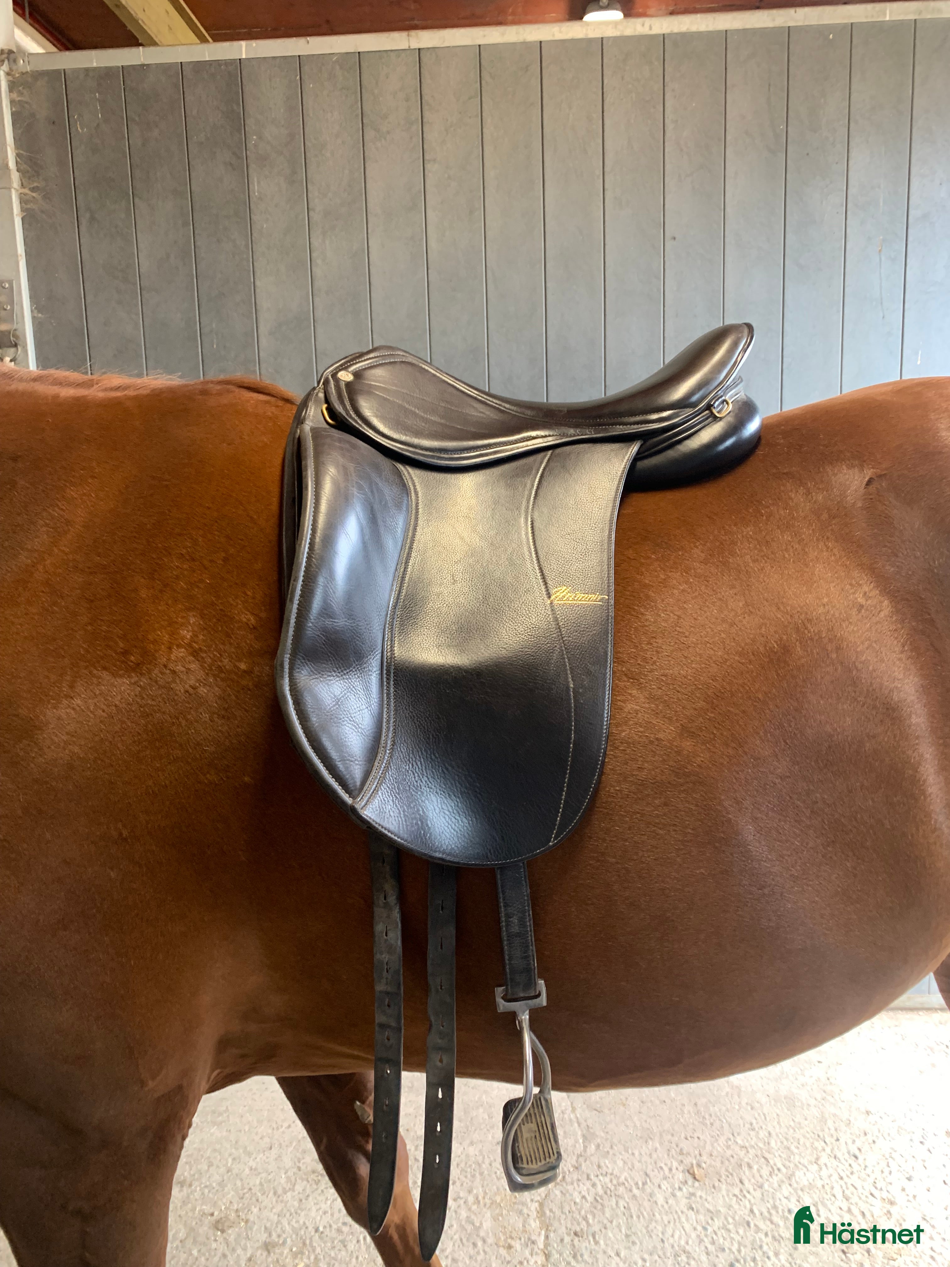 Sadlar hästutrustning till salu: Hrimnir pro 17,5” i Fagersta - Annons 1