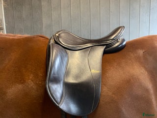 Sadlar hästutrustning till salu: Hrimnir pro 17,5” i Fagersta - Annons 8