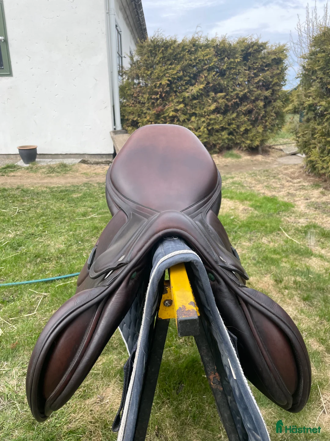 Sadlar hästutrustning till salu: Amerigo Vega sadel i nyskick⭐️ - Annons 2