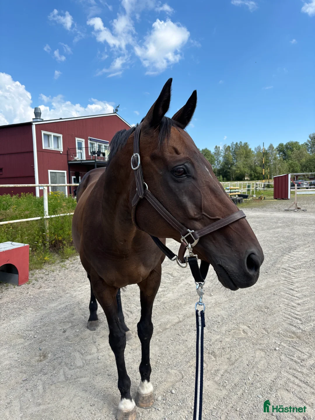 Galleribild {{count}}