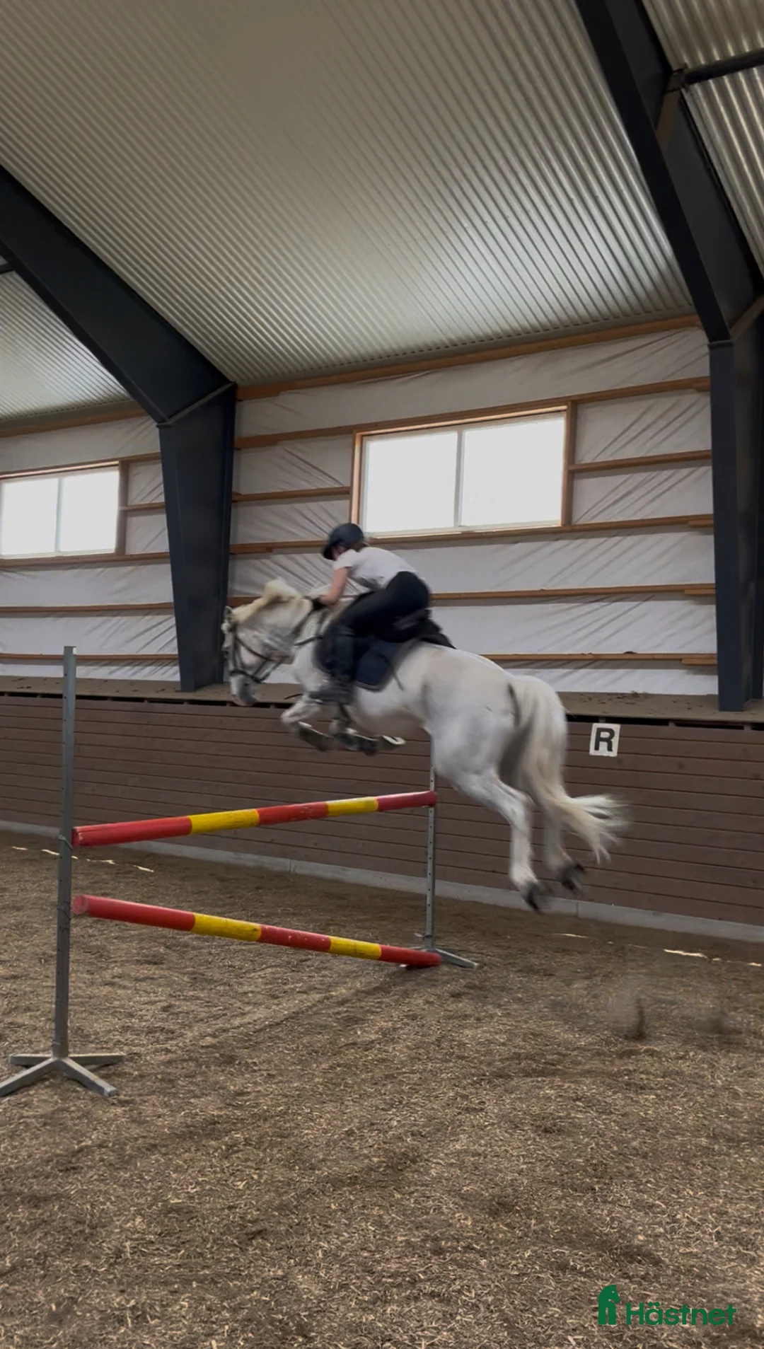  foderhäst finnes: Söker fodervärd  - Annons 2