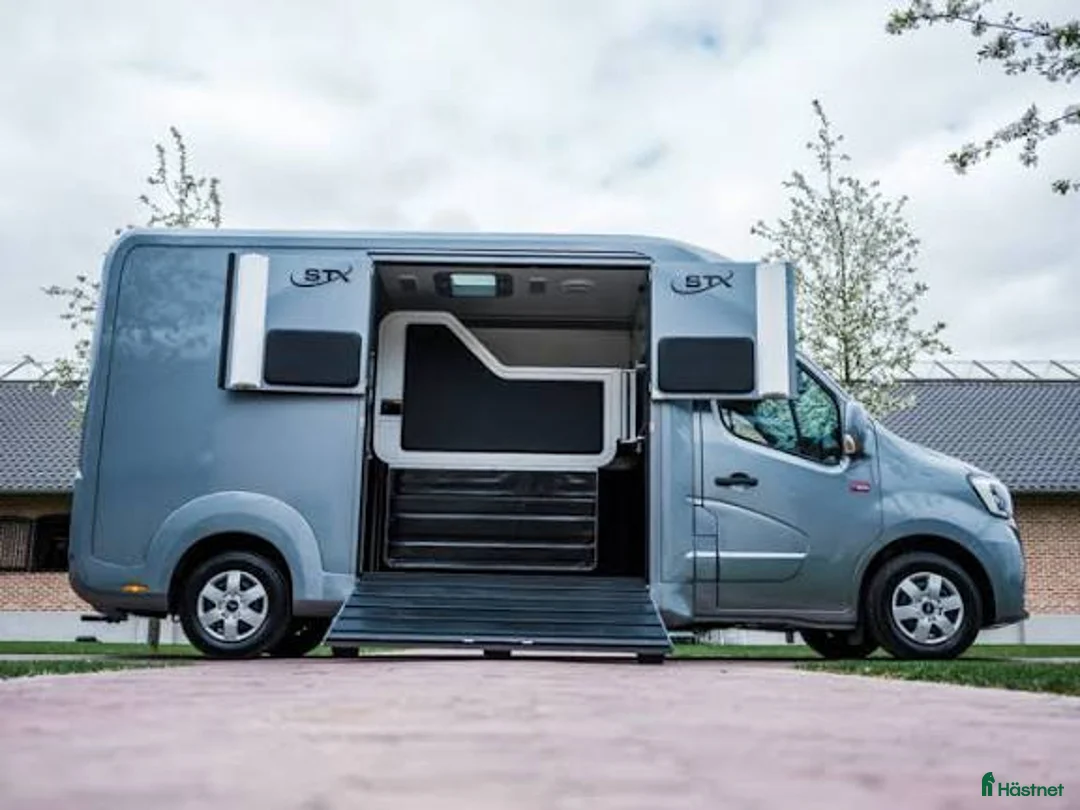 Hästlastbilar  fordon & transport till salu: SÖKES B korts hästlastbil i Norrfjärden - Annons 2