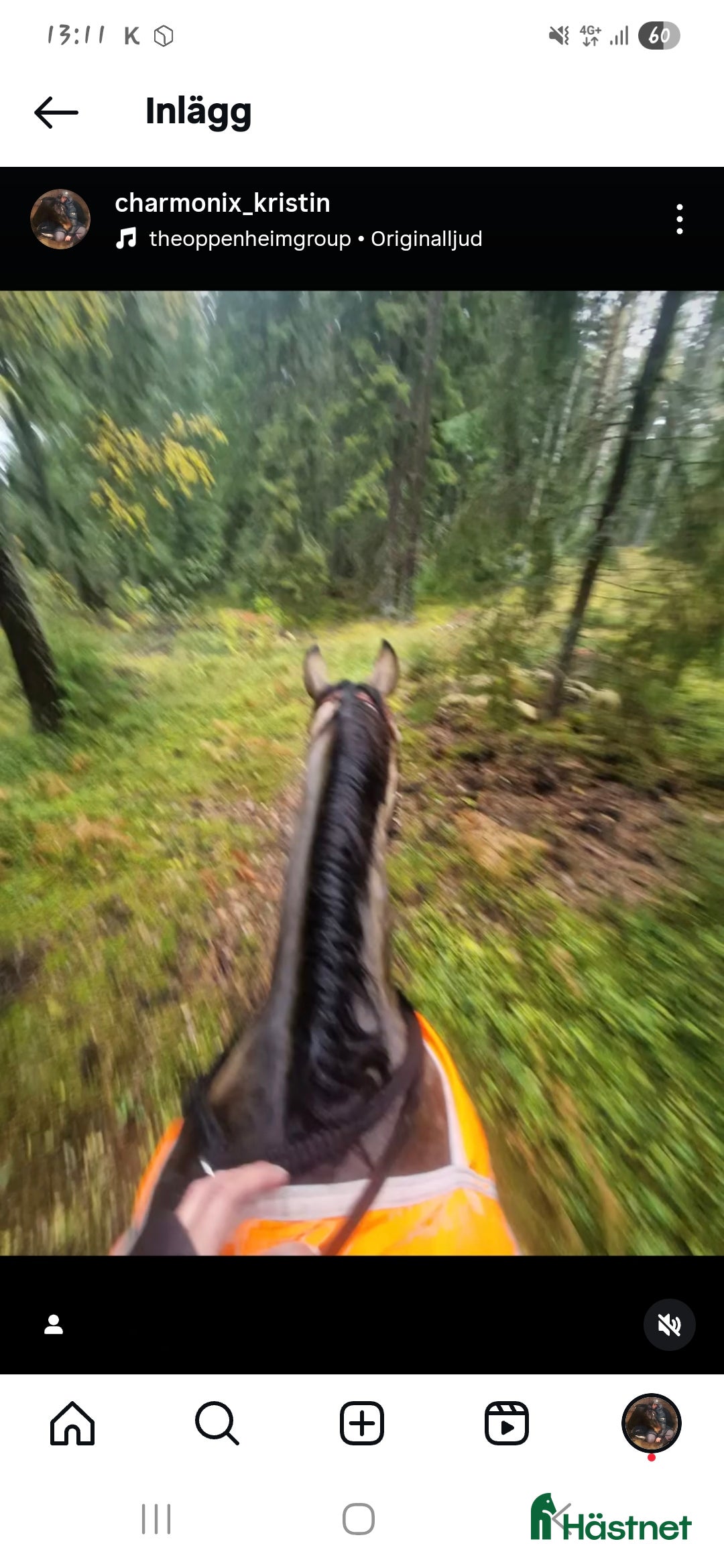  stallplats finnes: Stallplats i Brottby för ponny i Vallentuna - Annons 6