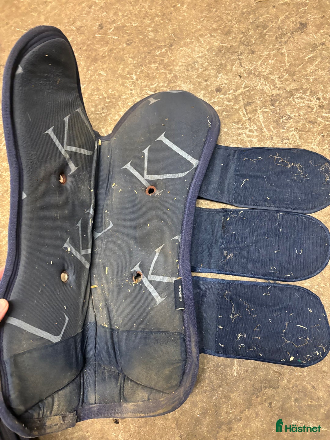 Benskydd hästutrustning till salu: Kingsland transportskydd  i Vinninga - Annons 10