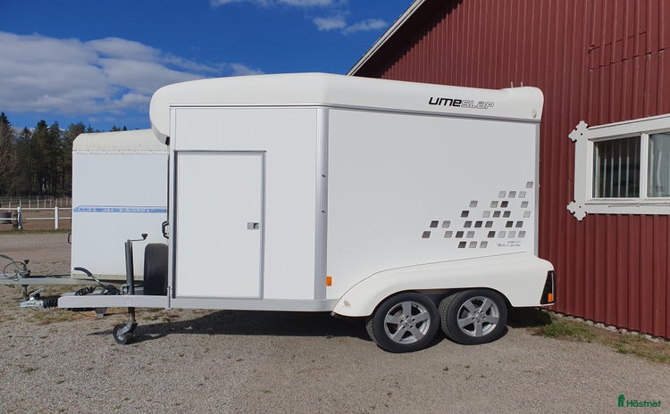 Hästtransporter  fordon & transport till salu i Piteå - Annons 15